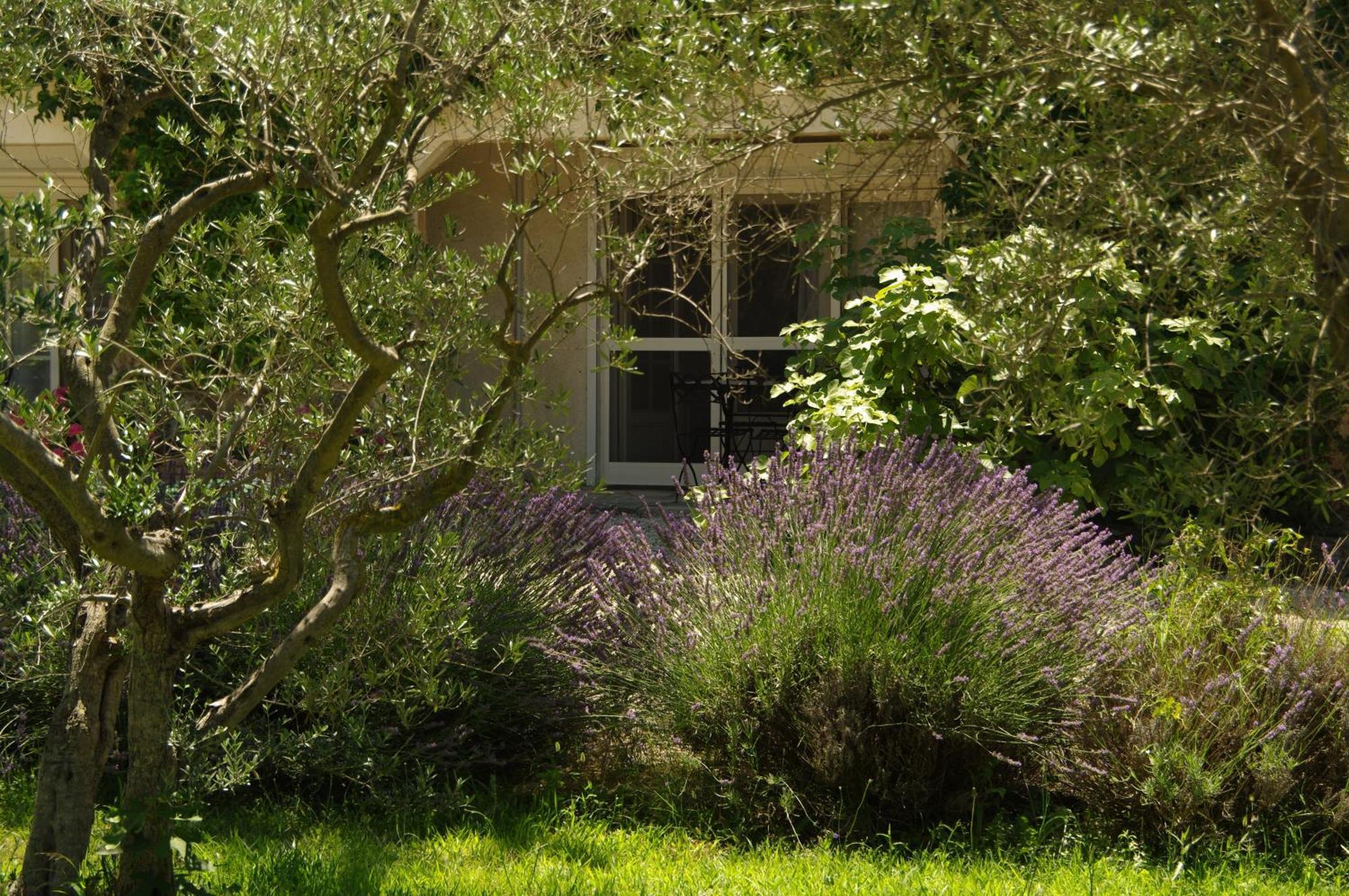 Residence Le Saint Victor ฟองต์วิลเย ภายนอก รูปภาพ